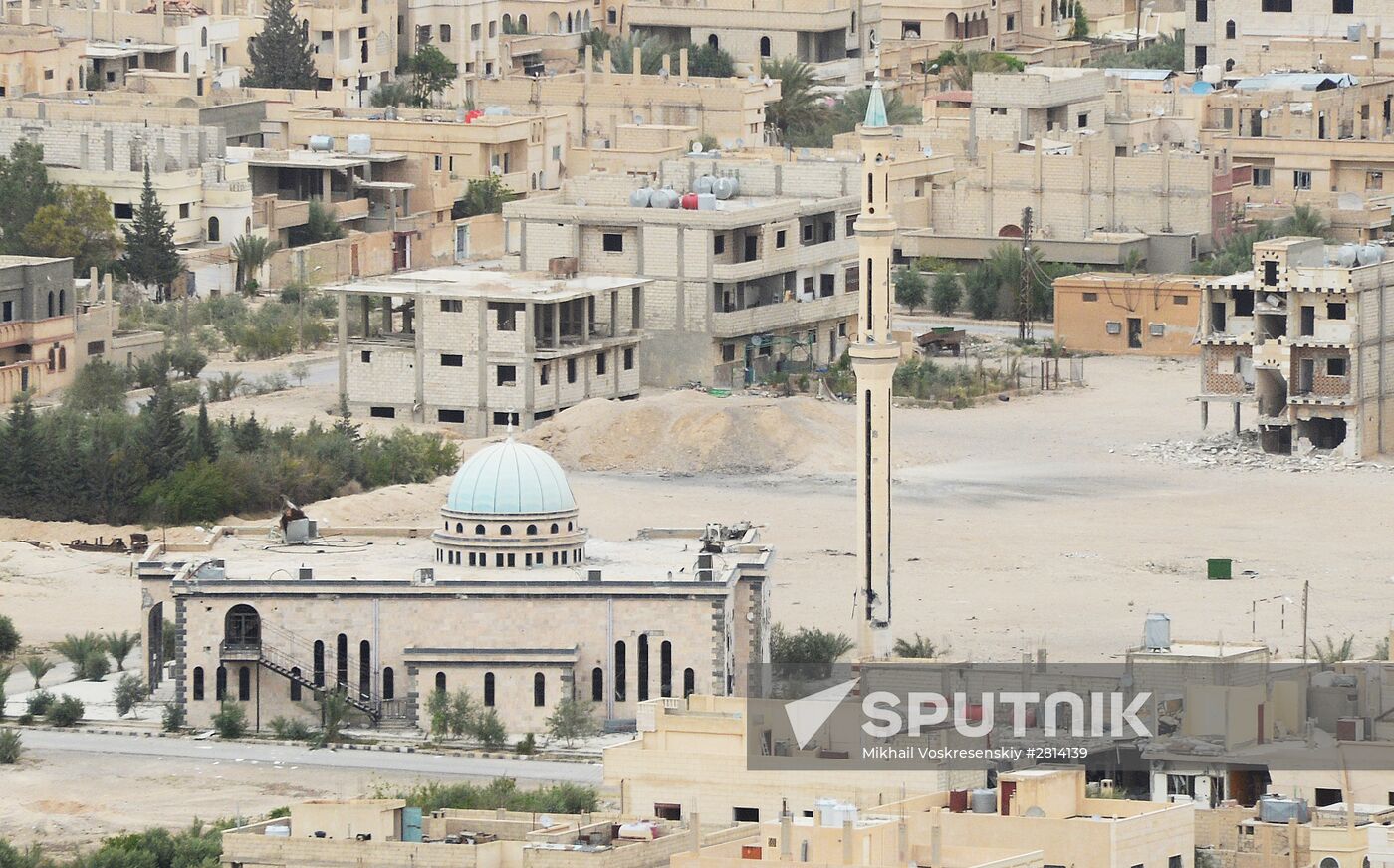 Syrian government army and militia fight for Palmyra