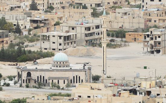 Syrian government army and militia fight for Palmyra