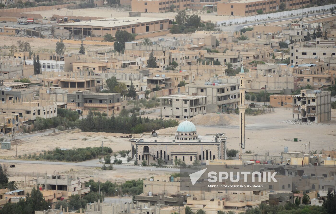 Syrian government army and militia fight for Palmyra