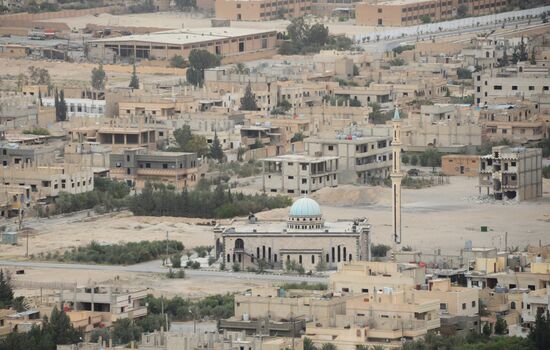 Syrian government army and militia fight for Palmyra