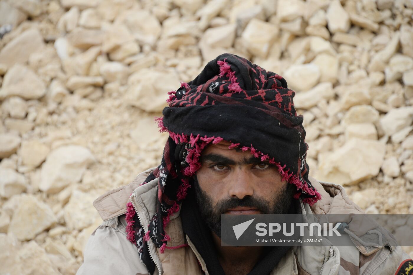 Syrian government army and militia fight for Palmyra