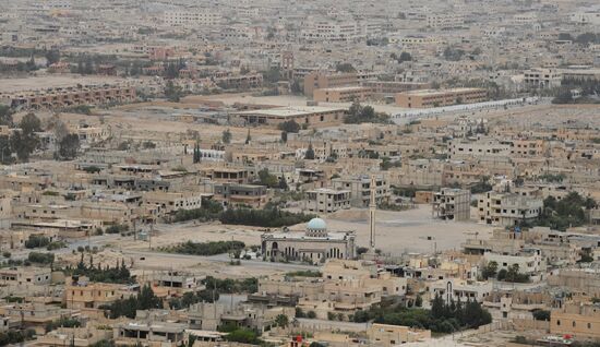 Syrian government army and militia fight for Palmyra