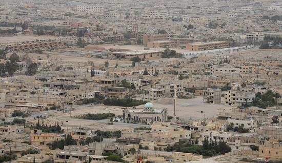 Syrian government army and militia fight for Palmyra