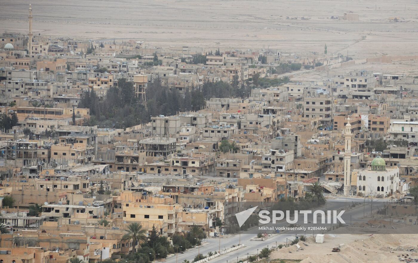 Syrian government army and militia fight for Palmyra