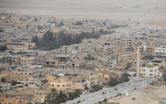 Syrian government army and militia fight for Palmyra