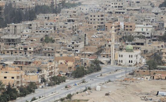 Syrian government army and militia fight for Palmyra