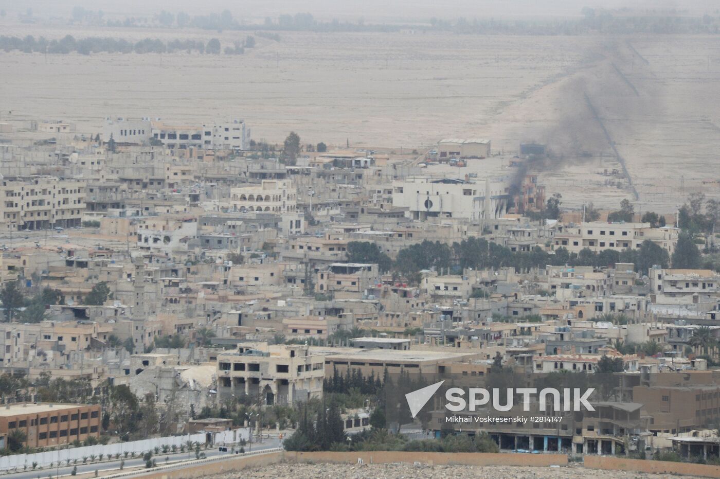 Syrian government army and militia fight for Palmyra