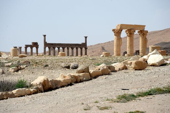 Historic site in Palmyra destroyed in military operations