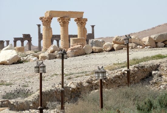 Historic site in Palmyra destroyed in military operations