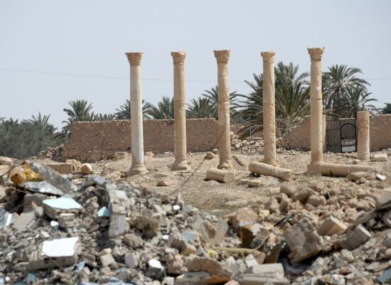 Historic site in Palmyra destroyed in military operations