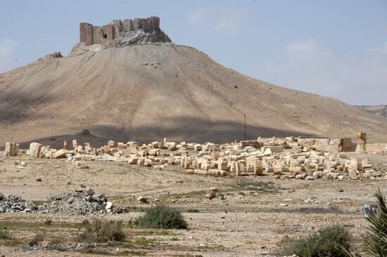 Historic site in Palmyra destroyed in military operations