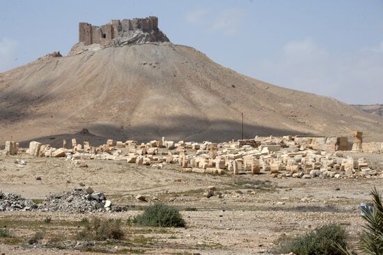 Historic site in Palmyra destroyed in military operations