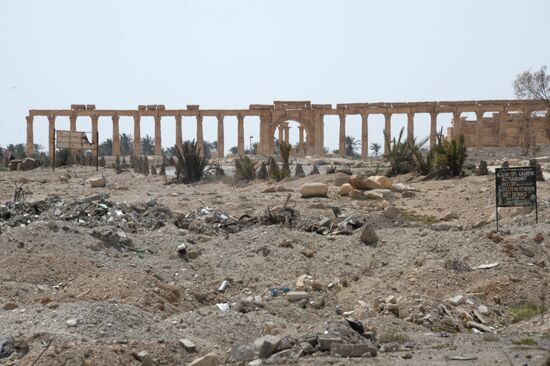 Historic site in Palmyra destroyed in military operations