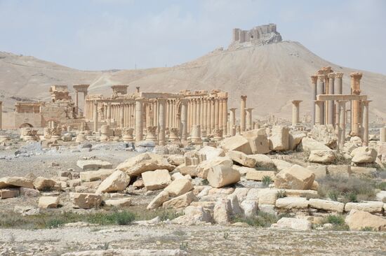 Historic site in Palmyra destroyed in military operations