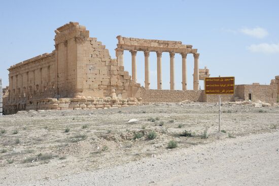 Historic site in Palmyra destroyed in military operations
