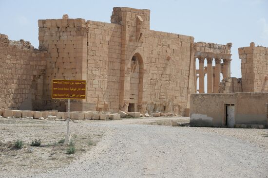 Historic site in Palmyra destroyed in military operations