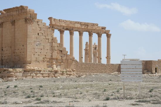 Historic site in Palmyra destroyed in military operations