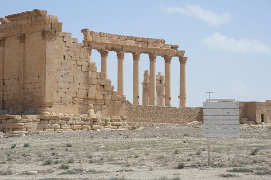 Historic site in Palmyra destroyed in military operations