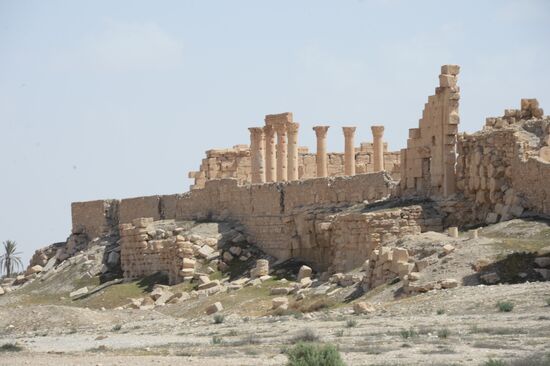 Historic site in Palmyra destroyed in military operations