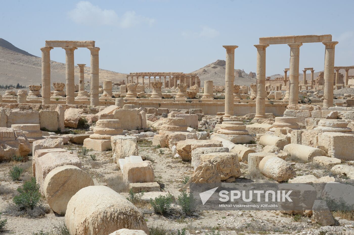 Historic site in Palmyra destroyed in military operations