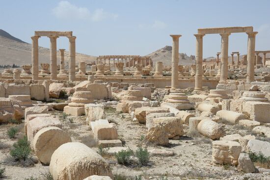 Historic site in Palmyra destroyed in military operations