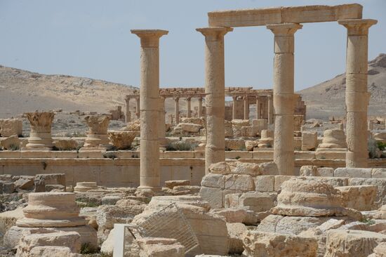 Historic site in Palmyra destroyed in military operations