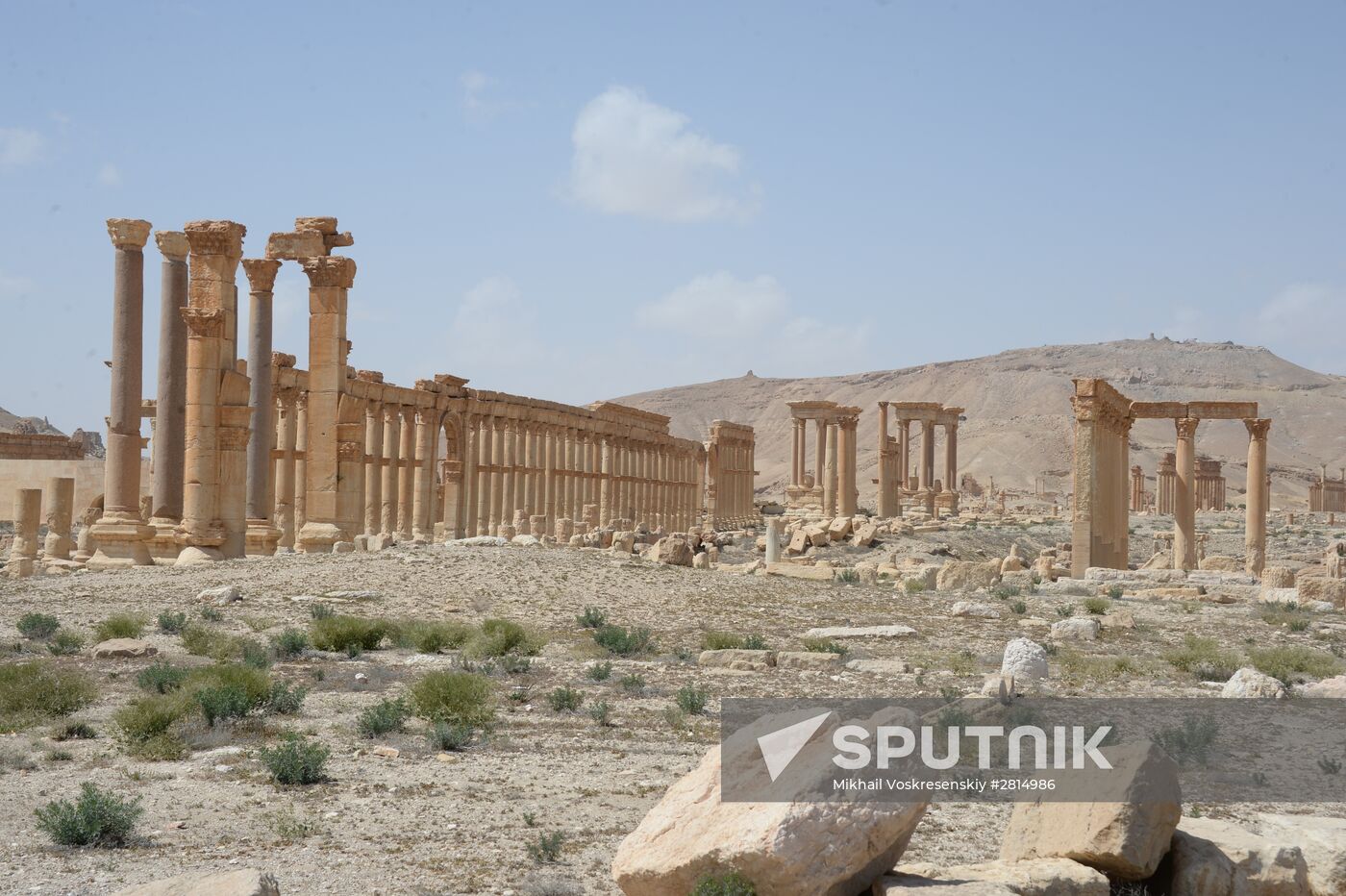 Historic site in Palmyra destroyed in military operations