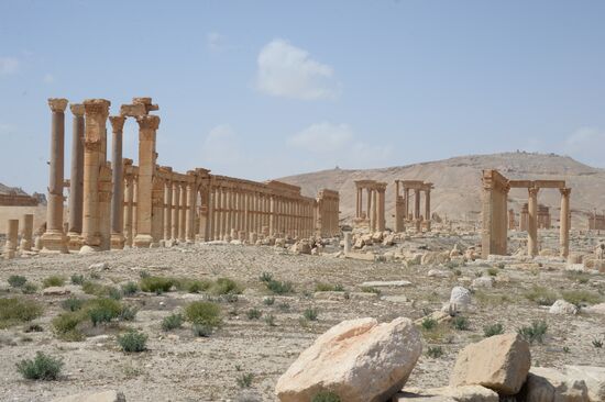 Historic site in Palmyra destroyed in military operations