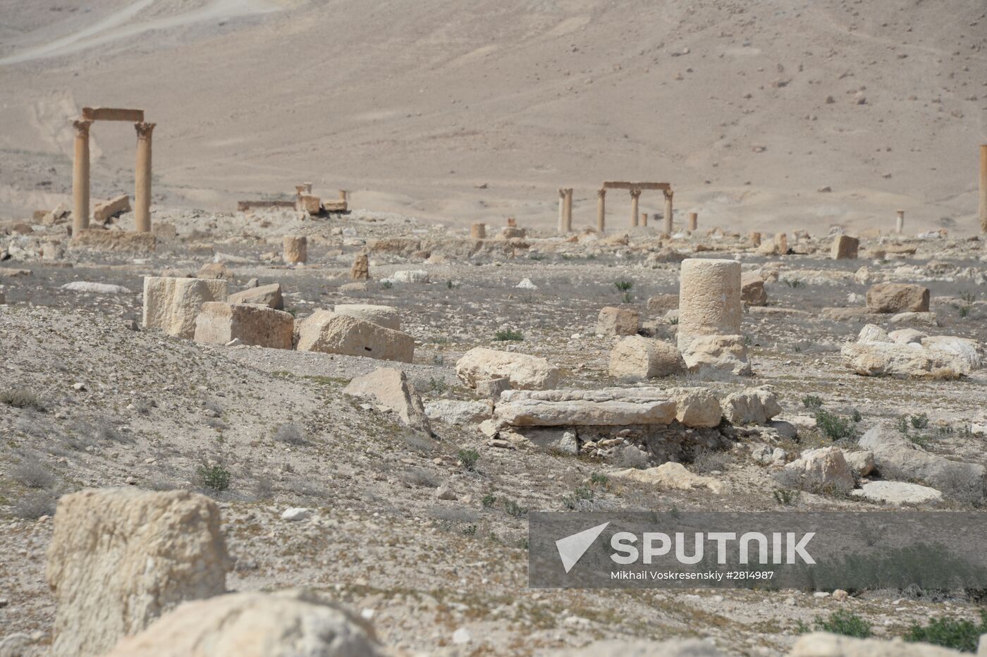 Historic site in Palmyra destroyed in military operations