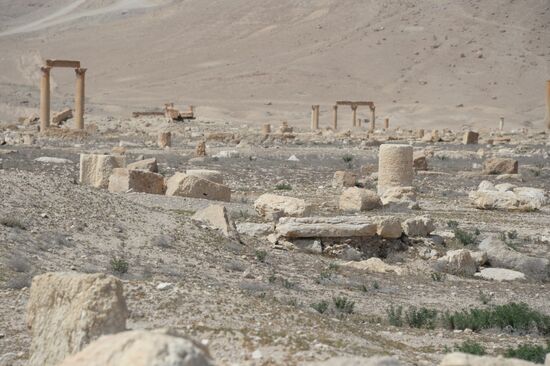 Historic site in Palmyra destroyed in military operations