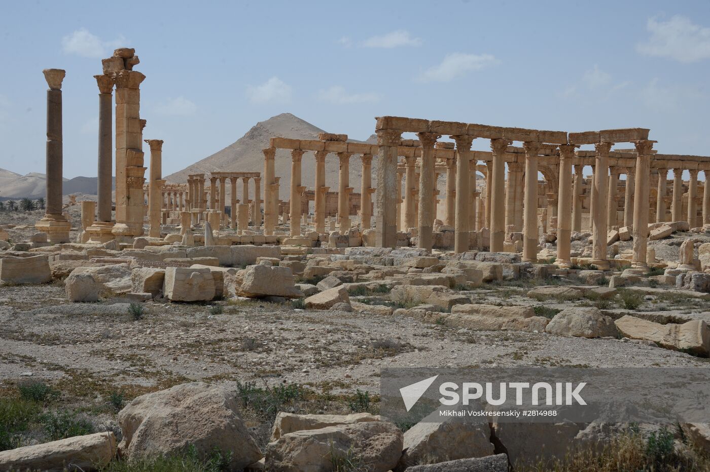 Historic site in Palmyra destroyed in military operations