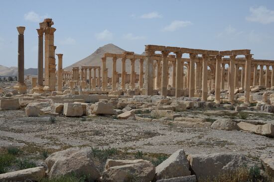 Historic site in Palmyra destroyed in military operations
