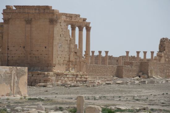 Historic site in Palmyra destroyed in military operations