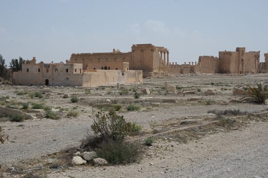 Historic site in Palmyra destroyed in military operations