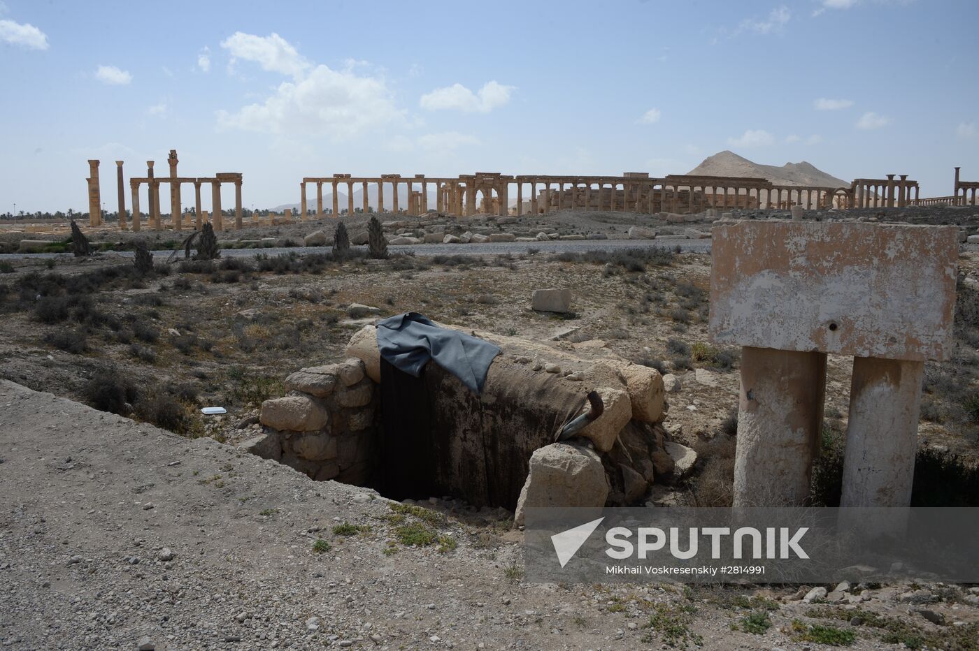 Historic site in Palmyra destroyed in military operations