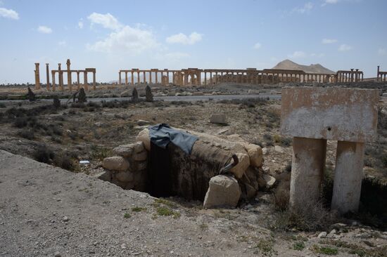 Historic site in Palmyra destroyed in military operations