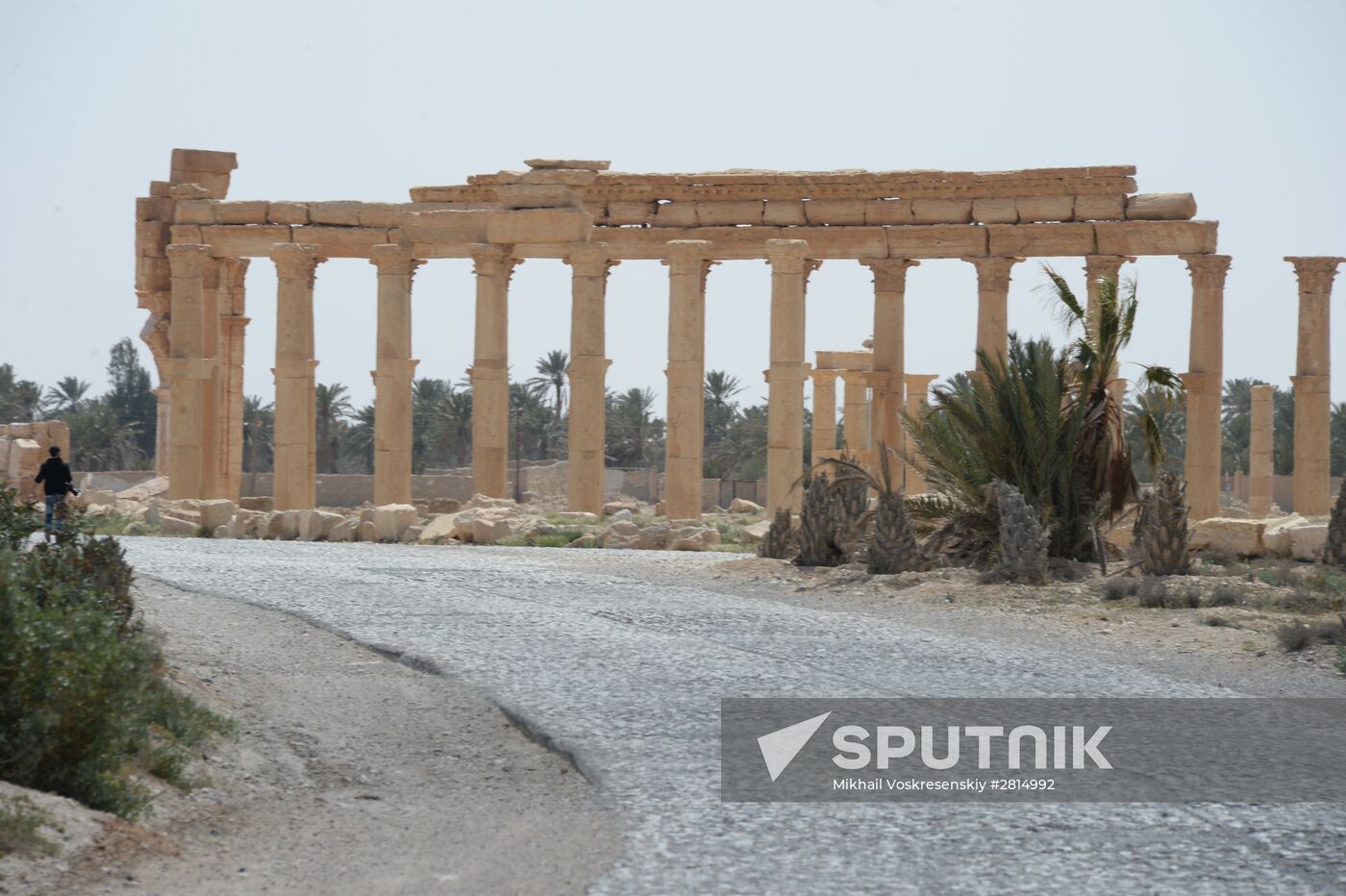 Historic site in Palmyra destroyed in military operations