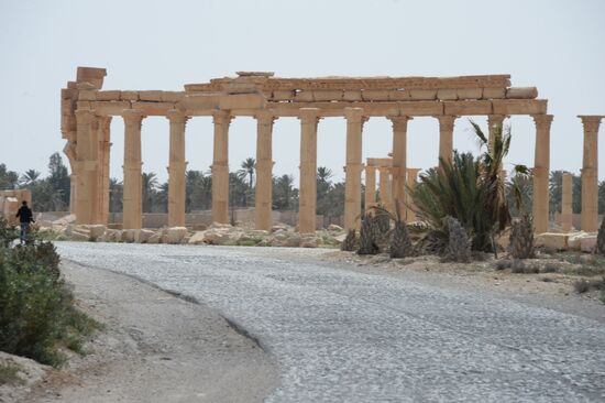 Historic site in Palmyra destroyed in military operations