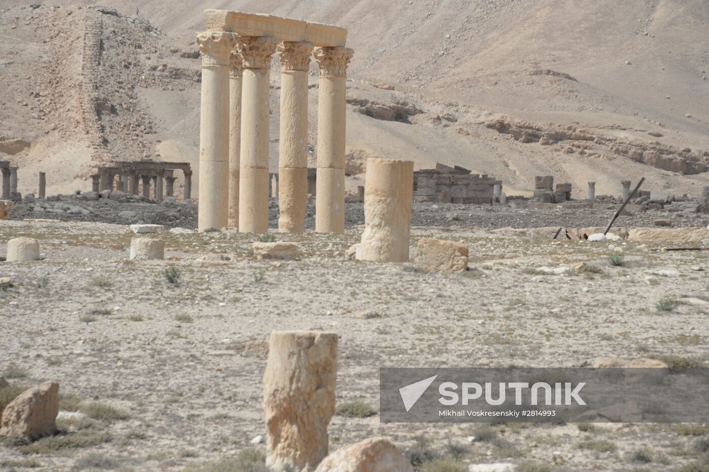 Historic site in Palmyra destroyed in military operations