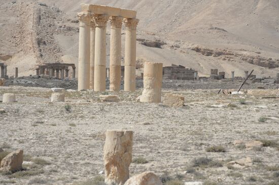 Historic site in Palmyra destroyed in military operations