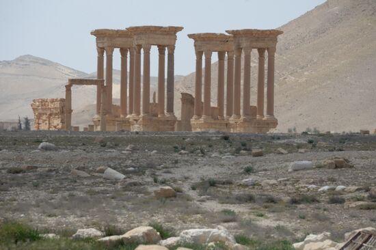 Historic site in Palmyra destroyed in military operations