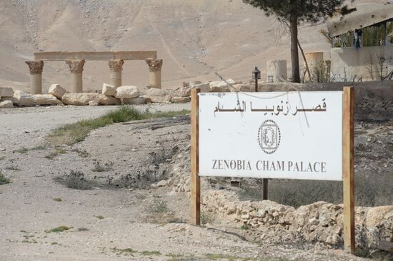 Historic site in Palmyra destroyed in military operations