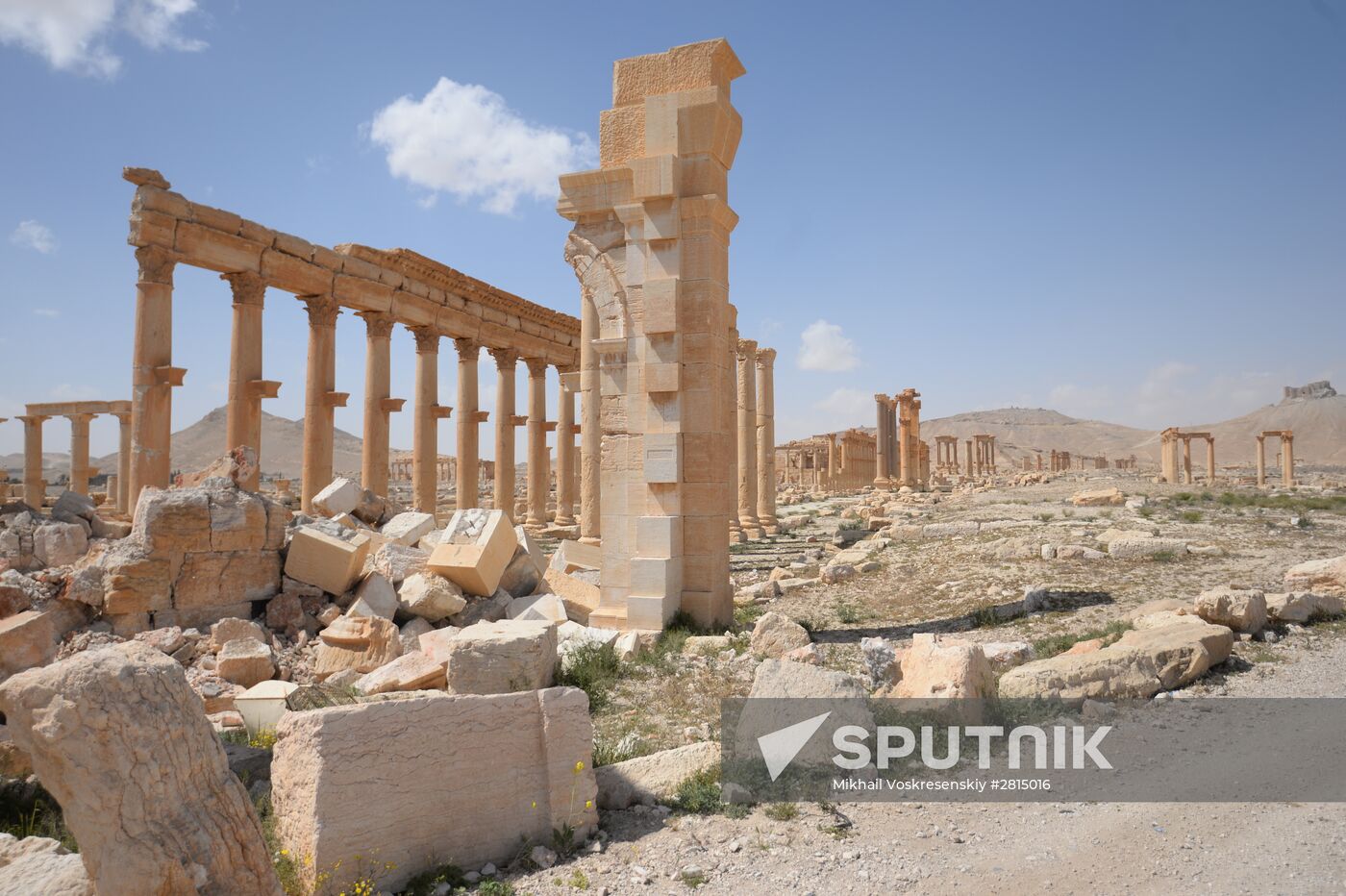 Historic site in Palmyra destroyed in military operations