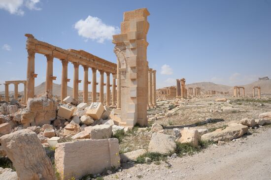Historic site in Palmyra destroyed in military operations