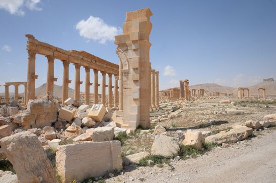 Historic site in Palmyra destroyed in military operations