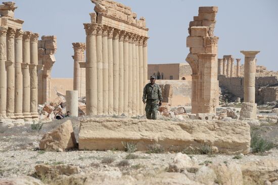 Historic site in Palmyra destroyed in military operations