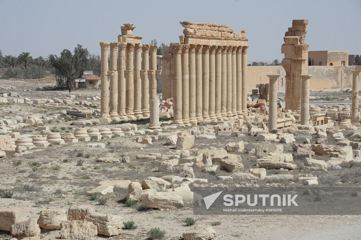 Historic site in Palmyra destroyed in military operations