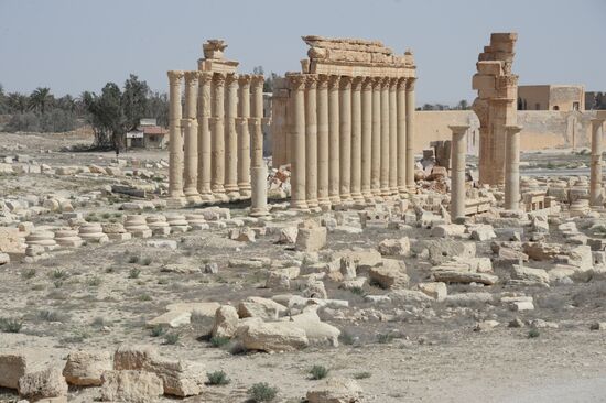 Historic site in Palmyra destroyed in military operations
