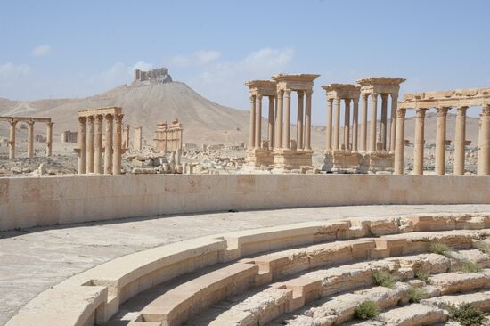 Historic site in Palmyra destroyed in military operations