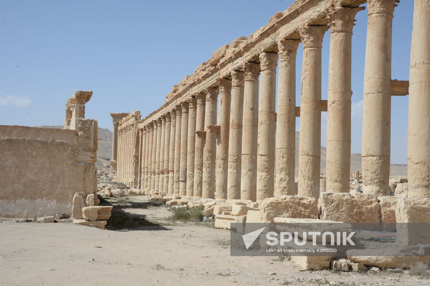 Historic site in Palmyra destroyed in military operations